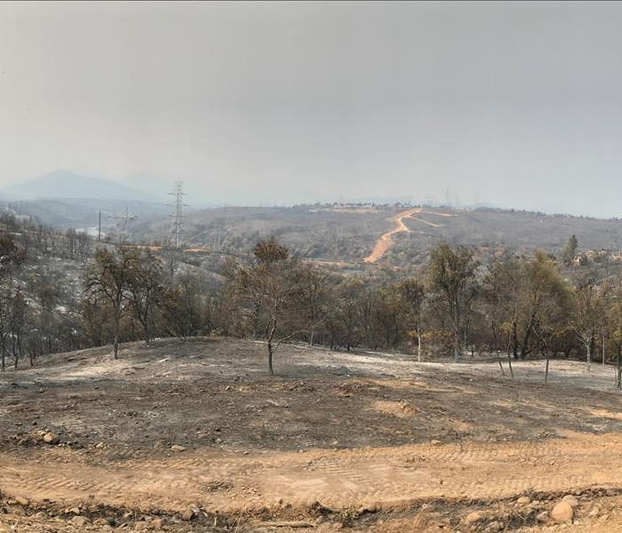 Landscape burned by wildfire