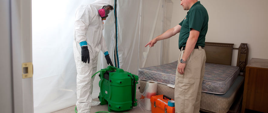 Medford, OR mold removal process